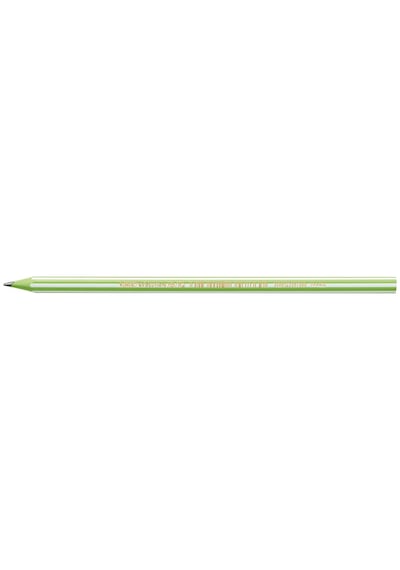 Bic Evolution Stripes Kurşun Kalem 12'li Kutu