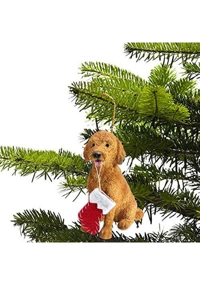 Noel Süslemeli Goldendoodle Noel Süsü, Çok Renkli Xso24201