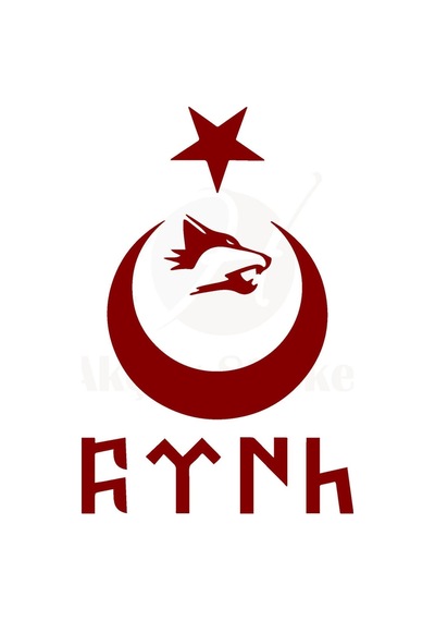 Ay Yıldız Kartal Göktürkçe Türk Oto Sticker Kırmızı 40 26 Cm