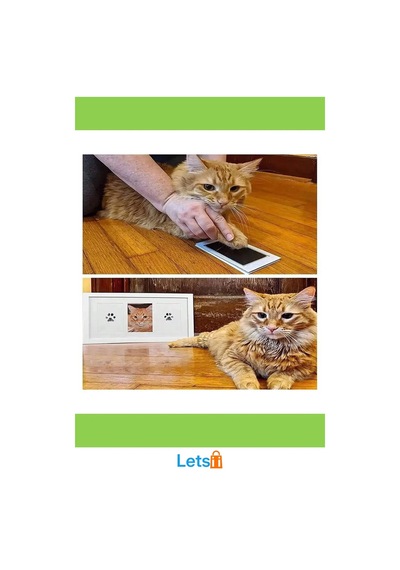 Kedi Köpek Pati İzi Fotoğraf Çerçevesi Seti Toksik Olmayan Mürekkepsiz Baskı Kiti