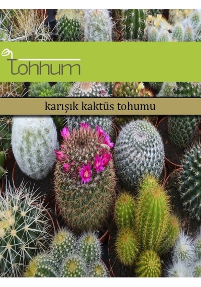Tohhum Karışık Kaktüs Tohumu Ve Kaktüs Sukulent Ekim Bakım Seti