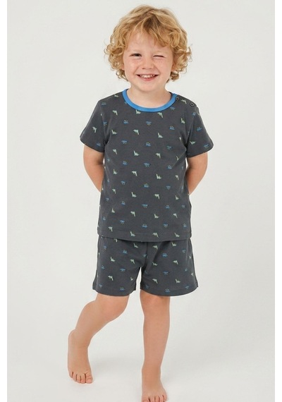 Breeze Erkek Bebek Şortlu Pijama Takım Renkli Dinozor Desenli 9 Ay-3 Yaş, Antrasit