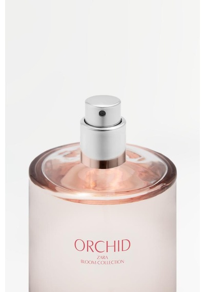 Zara Orchıd Edp 180 Ml 6.08 Fl. Oz . İndirimsehri Amber - Çiçeksi