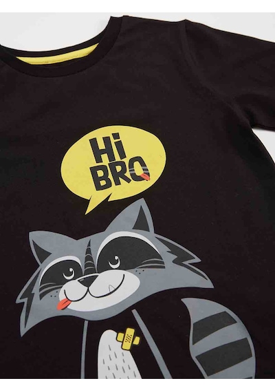 Denokids Rakun Erkek Çocuk T-shirt Pantolon Takım