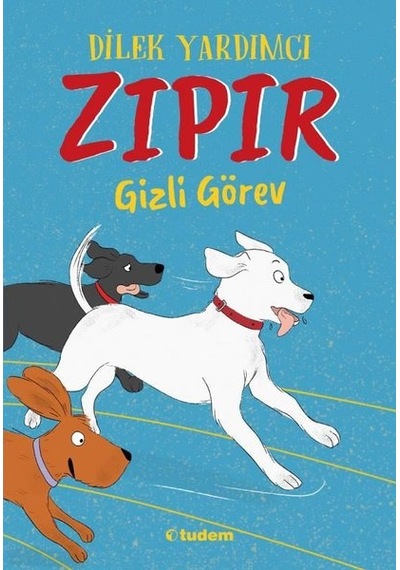 Zıpır Gizli Görev - Dilek Yardımcı - Tudem Yayınları