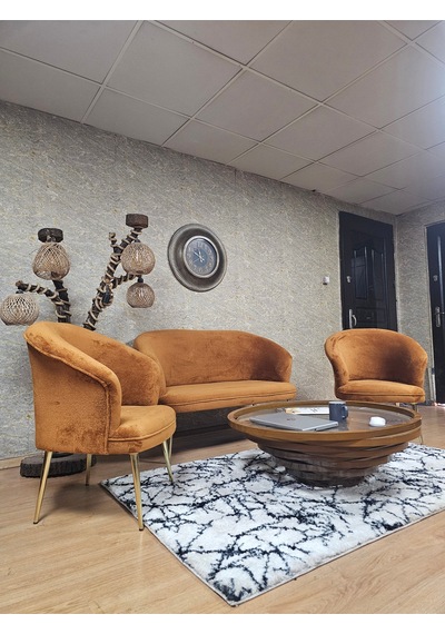 Zafir Teddy Takım Gold Kaplama Sivriltme Ayak Çay Seti Koltuk - Berjer , Balkon, Salon, Ofis Kiremit Zafir Teddy Takım Gold Kaplama Sivriltme Ayak Çay Seti Koltuk - Berjer , Balkon, Salon, Ofis Kiremit