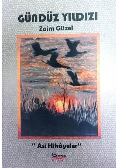 Gündüz Yıldızı  -  Asi Hikayeler - Zaim Güzel - A.Barış Kitapevi