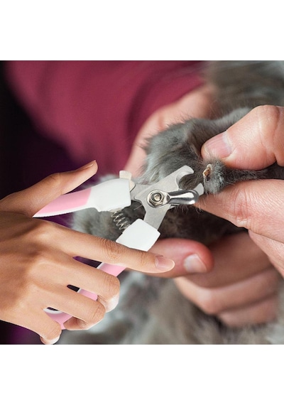 Törpülü Kedi Köpek Tırnak Makası 12,5 Cm
