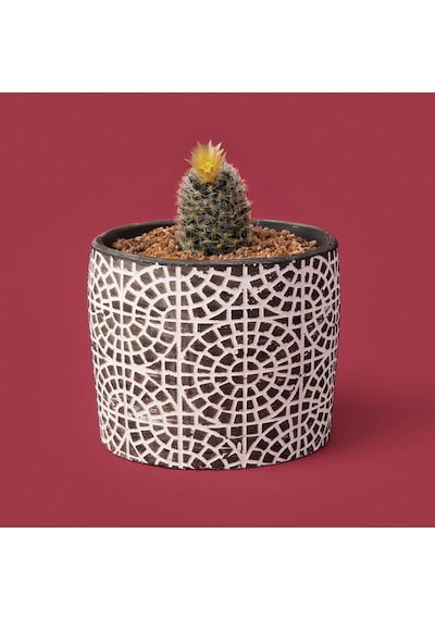 Objevii Mozaik Desen Beton Saksı - Siyah - 10x13 Cm Renkli