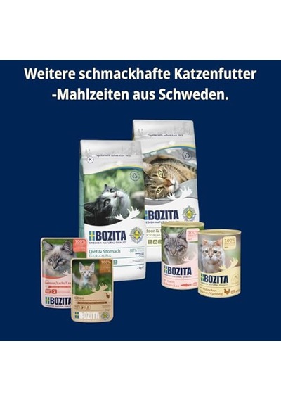 Jöle İçinde Etli Kedi Konservesi Multibox 12x85 Gr