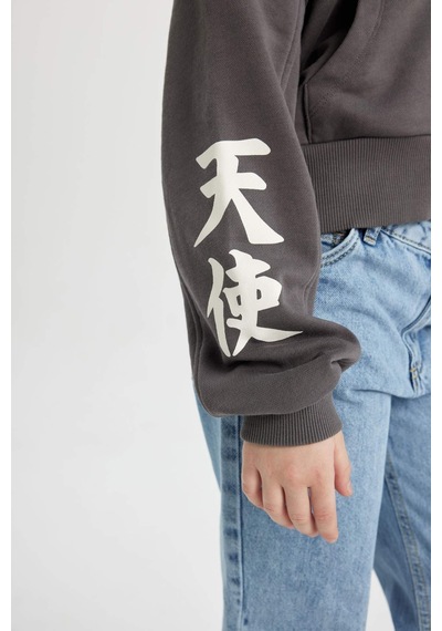 Defacto Kız Çocuk Kapüşonlu Fermuarlı Sweatshirt B9553A824SPGR311 Gri