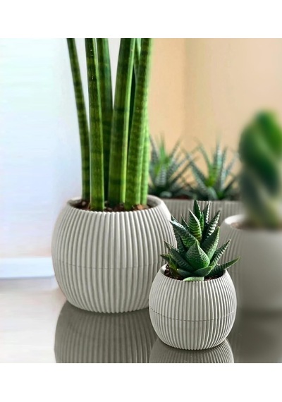 Mercan Yuvarlak Saksı Seti 0,35 Litre + 1,2 Litre, İç Mekan - Dış Mekan 2li Ekonomik Tabaklı Plastik Saksı Set Latte Renk 001