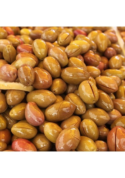 Tüplü Salamuralık İri Meyveli Domat Zeytin Fidanı