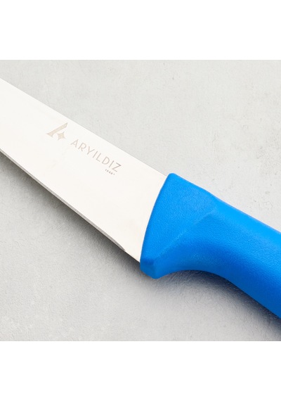 Aryıldız Rexa Et Bıçağı Mavi 14,5 Cm Renkli