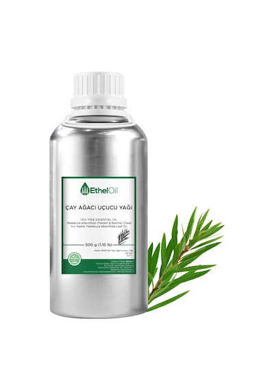 Etheloil Çay Ağacı Uçucu Yağ 500 G