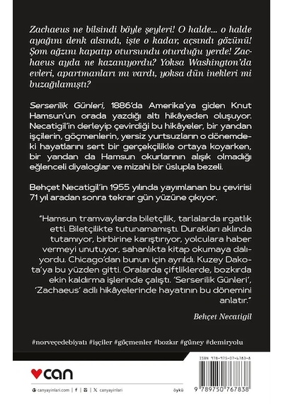 Serserilik Günleri