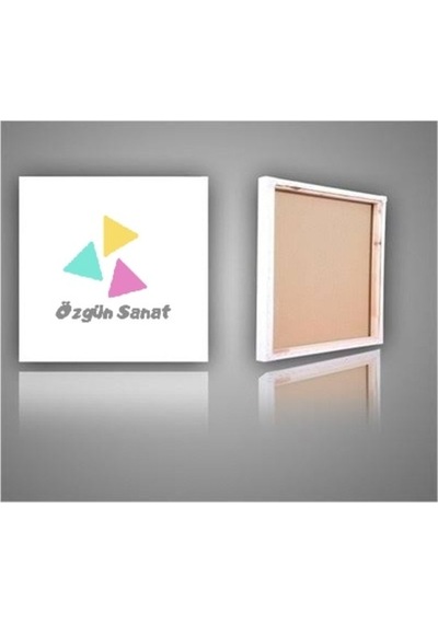 15X20 Cm Pamuklu Bez Sanatsal Tuval Öğrenci Ve Ressama Uygun