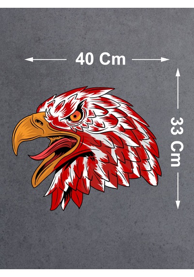 Kartal Sticker - Vahşi Kartal Sticker - Araba Oto Motosiklet Karavan Cam Sticker - 00945 40x33 Cm