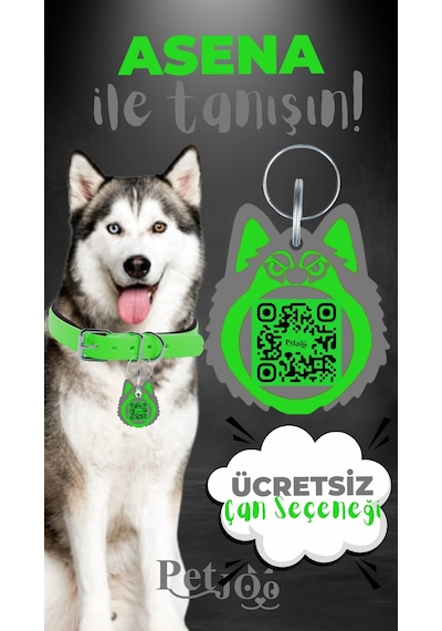 Petjoo 25.Asena Gri-Yeşil Qr'lı Köpek Künyesi