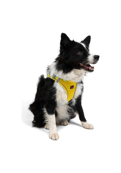 Air-Mesh Küçük ve Orta Irk Kedi Köpek Göğüs Tasması - Yumuşak, Nefes Alabilir, Dayanıklı SARI 2XS