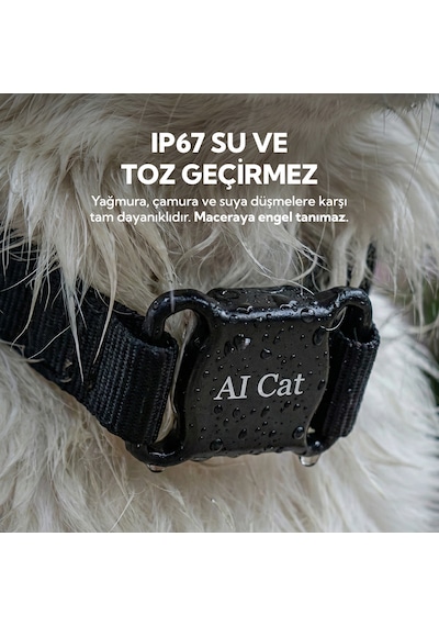 Aı Cat Tag Akıllı Evcil Hayvan Takip Cihazı Siyah Su/ Toz Geçirmez Apple Uyumlu iOS /android 0