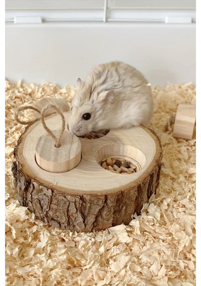 Ahşap Hamster Oyuncak Atıştırmalık Kutusu - Diş Öğretici Eğitici Oyuncak