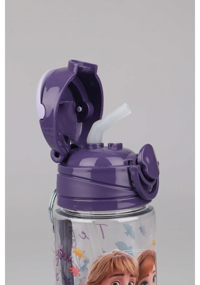 Dekomus Cep Defteri İle Yeni Sezon Lisanslı Frozen Elsa 500 Ml Trıtan Matara Altın