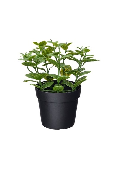 Ikea Fejka Yapay Bitki, Yeşil, 9 Cm, İç/dış Mekan Nane