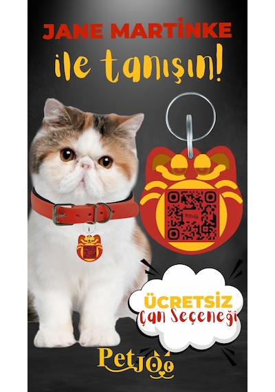 Petjoo 5.Jane Martinke Sarı-Kırmızı Qr'lı Kedi Künyesi