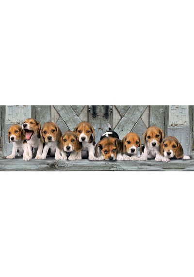 Clementoni 39435 Beagles. 1000 Parça Puzzle
