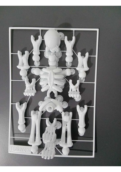 Sök+tak İnsan İskeleti