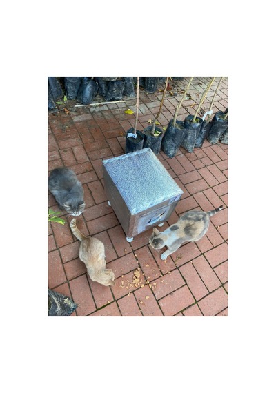 Kedi Yuvası Kedi Evi Isı Ve Su Yalıtımlı % 100 Korunaklı -11 Mm Osb -video Anlatımlı