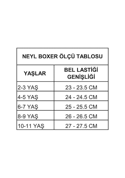 Erkek Çocuk Desenli Boxer 10'lu Karışık 10'lu