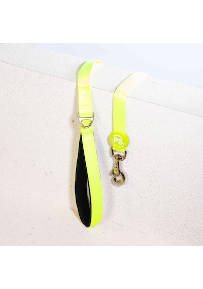 Pawstar Neon Sarı Köpek Gezdirme Kayışı 120 x 2 CM Çok Renkli