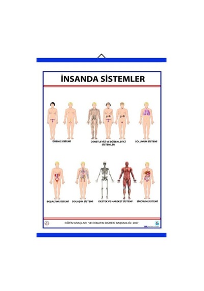 Insanda Sistemler Levhası 70X100