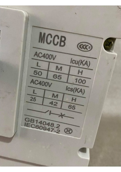 Westhomes 630A 8Kv Kaçak Akım Korumalı Şalter Wcm1-630L/3300