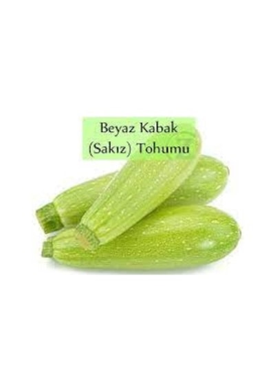 50 Adet Tohum Hobi Bahçe Beyaz Kabak Tohumu Hediyeli