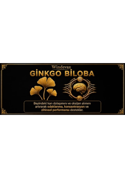 Windevax Sitikolin, Ginkgo, B1 Vitamini, B6 Vitamini, B12 Vitamini İçeren Takviye Edici Gıda 60 Kapsül