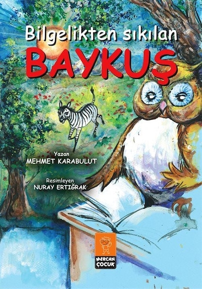 1.sınıf Resimli Hikaye Seti 4 Kitap + Boyama Kitabı Hediye ...