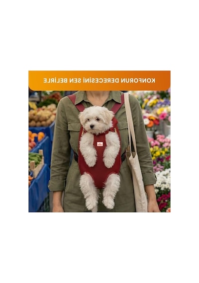 3.1 Phillip Lim Hafif Ve Taşınabilir Kedi Ve Küçük Irk Köpek Taşıma Çantası 0233 Orangeblue Cat