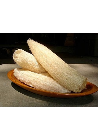 Lif Sünger Kabağı Tohumu Sponge Gourd Belirtilmemiş