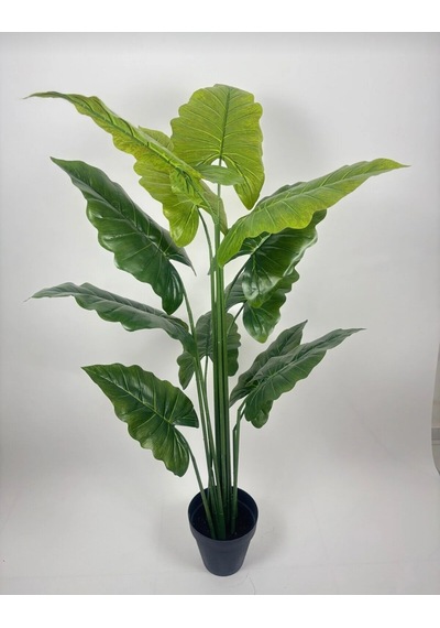 160 Cm Yapay Fil Kulağı Ağacı Plastik Saksıda Yeşil