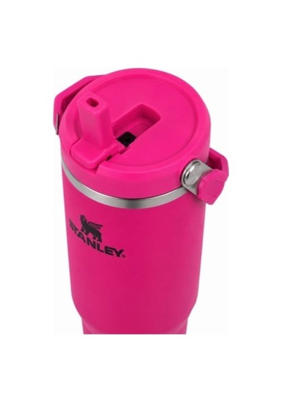 Koyu Pembe Renkli 0.89 Litre Termos İle Şık Tasarım 01
