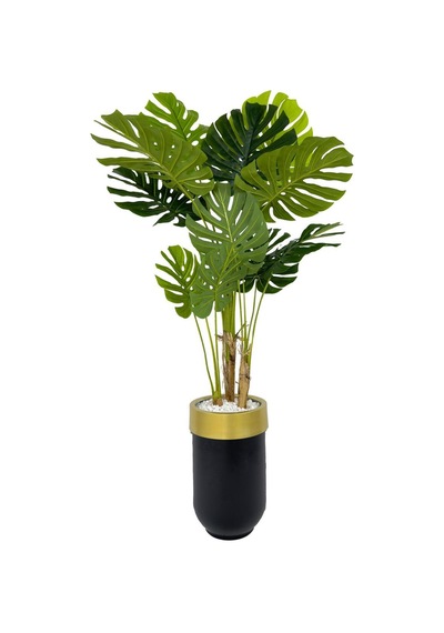 Yapay Monstera Ağacı Deve Tabani 170 Cm Si Yah Gold Darbuka Saksıda Siyah Gold
