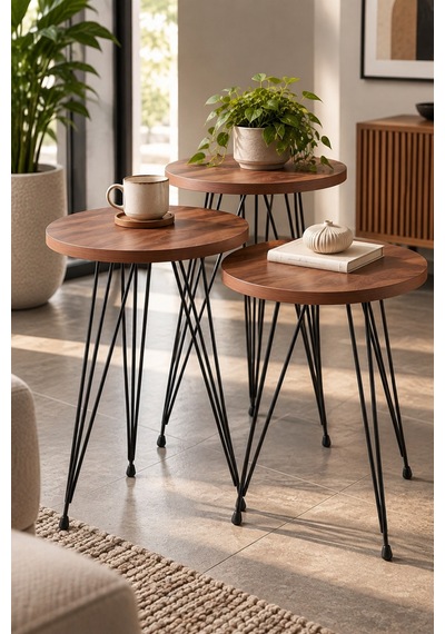 Sulorahome Zigon Sehpa Takımı Çam Desenli Kahverengi Atlantik Çam