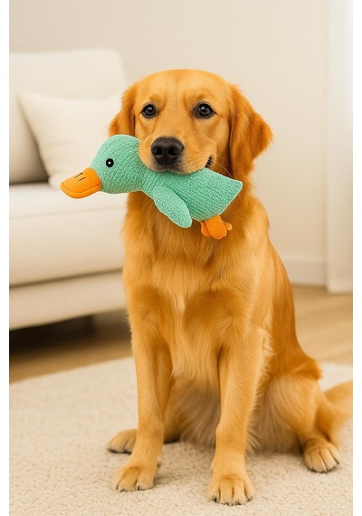 Busstier Köpek Oyuncağı Ördek Şekilli Peluş Sesli Ve Hışırtılı Da