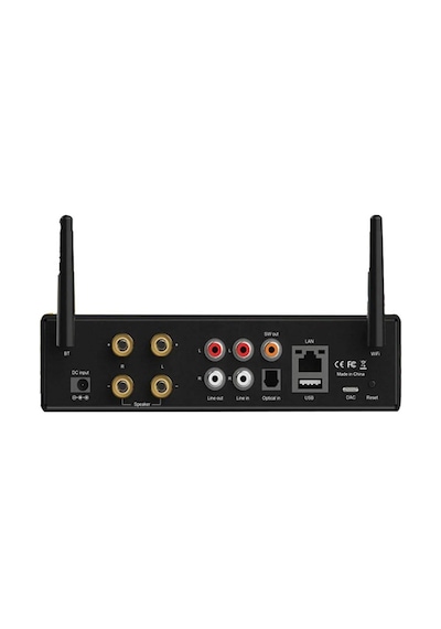 D&D M50 Stereo Network Amplifikatör