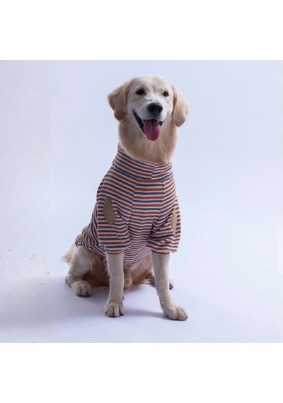 Pawstar Kiremit Marseille Orta-büyük Irk Çizgili Köpek Sweati Köpek Kıyafeti Pawstar Kiremit Marseille Orta-büyük Irk Çizgili Köpek Sweati Köpek Kıyafeti