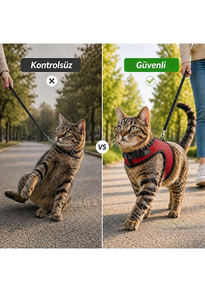 Kaçış Önleyici Kedi Gezdirme Tasması Ve Küçük Irk Köpek Gezdirme Tasması Kedi Göğüs Tasması Seti Small