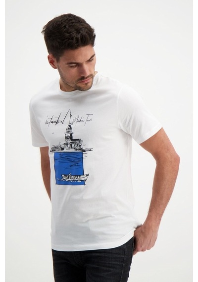 Rich Erkek Bisiklet Yaka Baskılı T-Shirt %100 Pamuk Tişört (481343910)